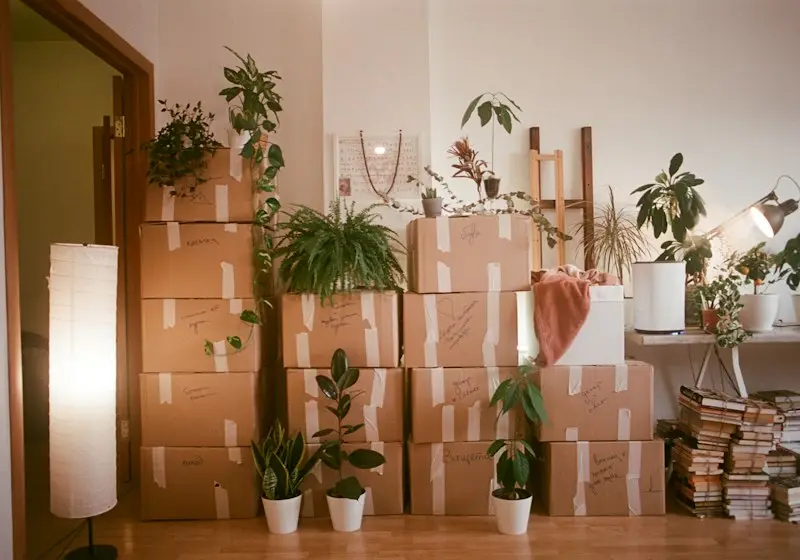 Gepackte Umzugskartons in einer Wohnung vor dem Umzug